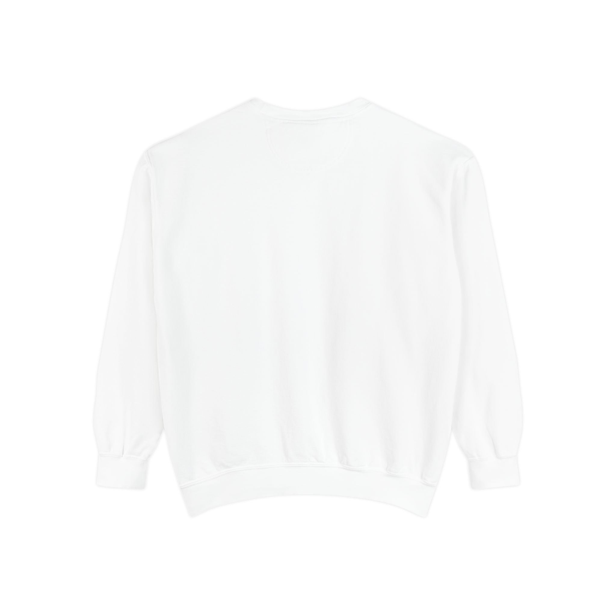 Bookish Babe Sweatshirt — Cute Pastel Reading Graphic Crewneck