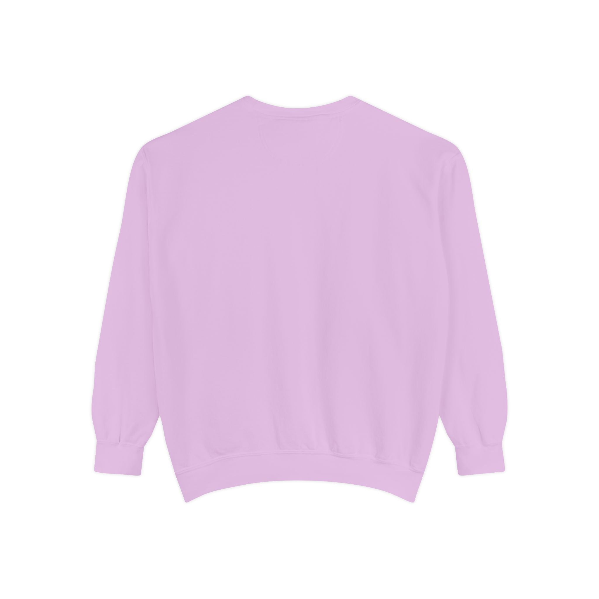 Bookish Babe Sweatshirt — Cute Pastel Reading Graphic Crewneck