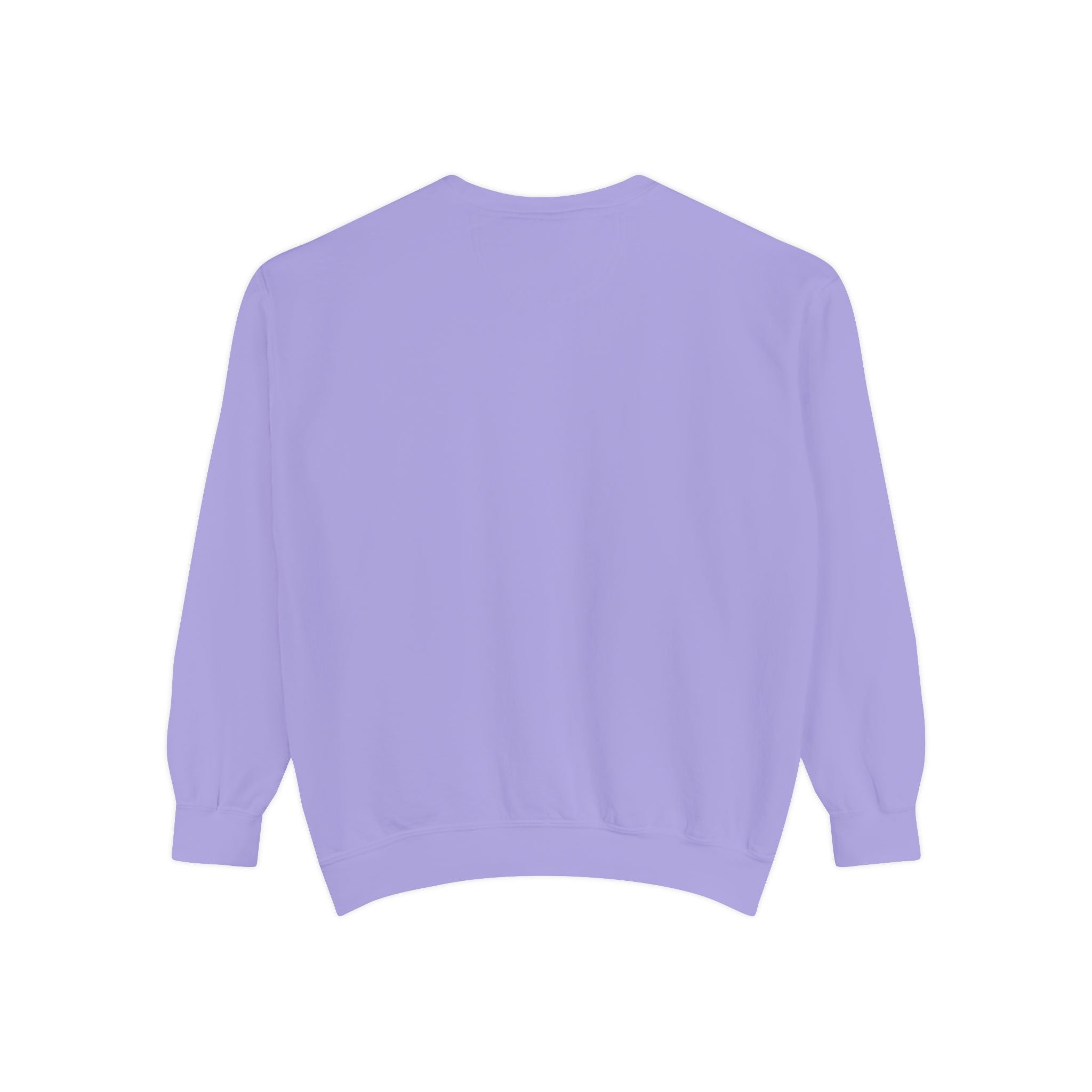 Bookish Babe Sweatshirt — Cute Pastel Reading Graphic Crewneck