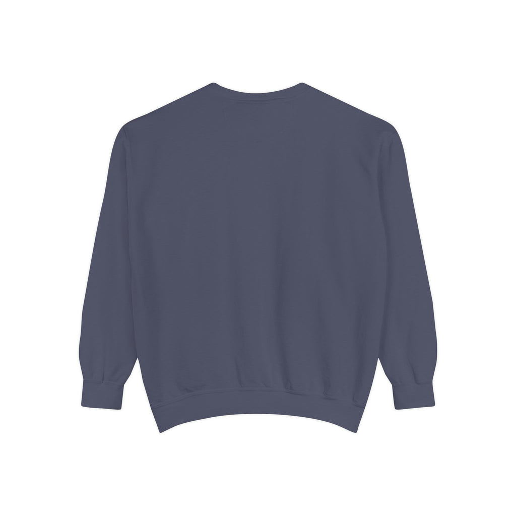 Novel Lover Sweatshirt — Cozy Bookish Graphic Pullover