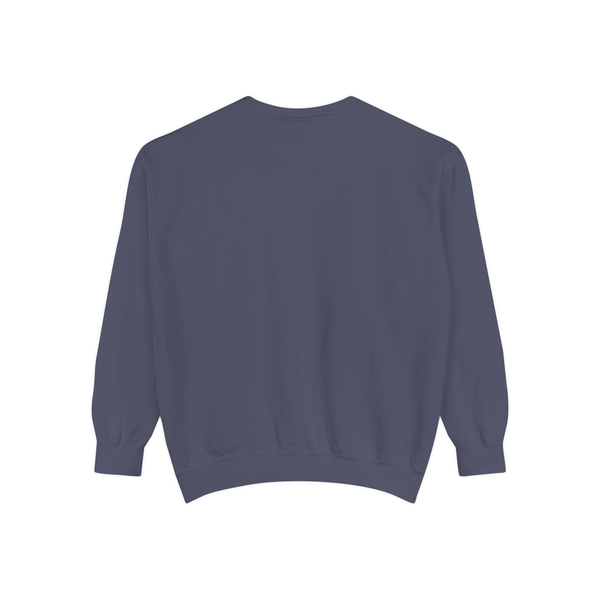 Novel Lover Sweatshirt — Cozy Bookish Graphic Pullover
